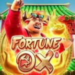 Fortune Ox slot Bangladesh