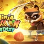 Ninja Raccoon Frenzy slot Bangladesh