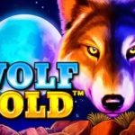 Wolf Gold slot Bangladesh