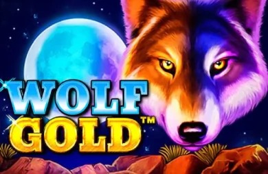 Wolf Gold slot Bangladesh